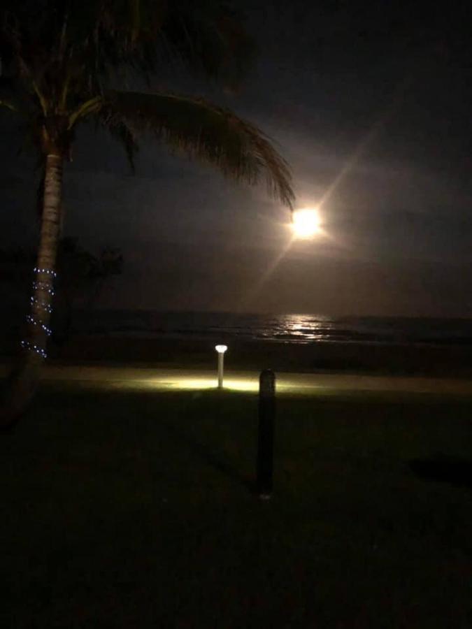 San Simeon Beachfront Apartments Tugun Gold Coast Eksteriør bilde